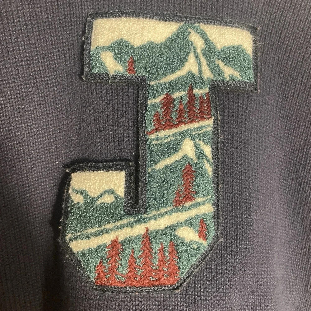 Janie And‎ Jack Hooded Sweater Boys 4 Blue Knit Pullover Raised J Applique Trees
